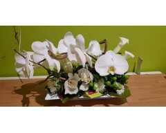 decoration table allonge fleurs phalaenospsis blanc