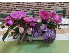 DECORATION TABLE ORCHIDEES VANDA