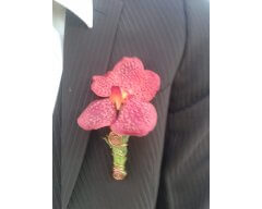 BOUTONNIERE VANDA