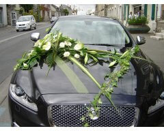 decoration vehicule jaguar.JPG